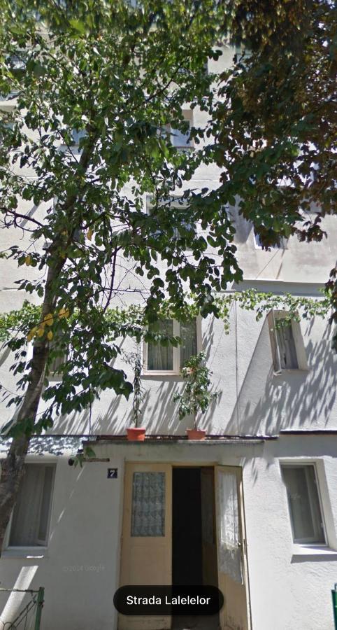 Cozy Apartments Bacău Dış mekan fotoğraf